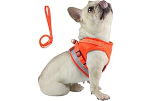 Anlitent Soft Mesh No Pull Cat Harness and Lead Set for Walking, Escape Proof Kitten Vest Harnesses for Small Animals Rabbit/Mouse/Cats, Cool Cat Collar Estra Small