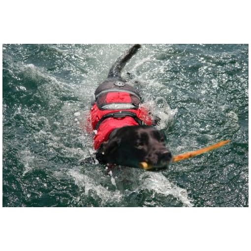 CrewsaverExtraLargeXLDogLifejacketTOPQUALITYPetFloatBuoyancy