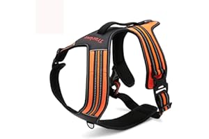 TRUE LOVE Réfléchissant Harnais De Chien Réglable Décourager Tirer Pet Gilet Durable en Nylon De Voiture TLH5551 (Orange, M)
