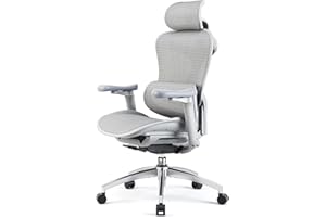 SIHOO Doro C300 Sedia ergonomica ufficio - Braccioli 3D regolabili, Schienale regolabile, Supporto lombare auto-adattivo, Inclinazione regolabile (Grigio)