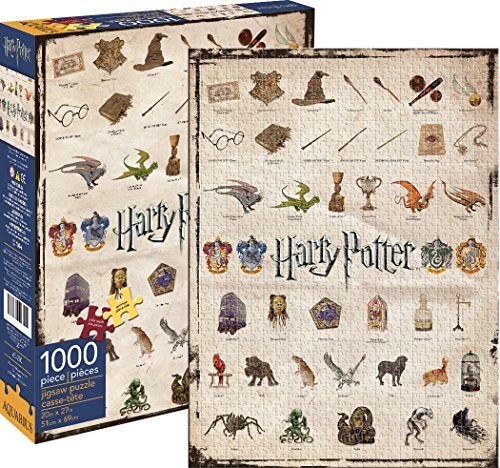 Aquarius-Harry-Potter-Ikonen-Puzzle-1000-Teile
