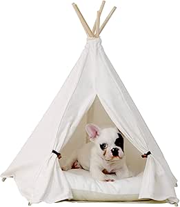 small pet tent