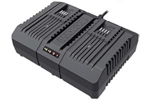 WORX Chargeur Double 20V WA3883, 2A, Chargez 2 Batteries Simultanément, Léger et Compact, Compatible Avec Toutes les Batteries Worx Powershare