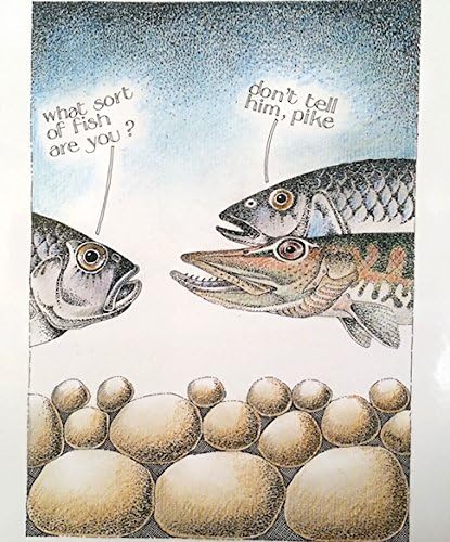 SIMON DREW CARD: PIKE WHAT SORT OF FISH ARE YOU? - NEW IN CELLO