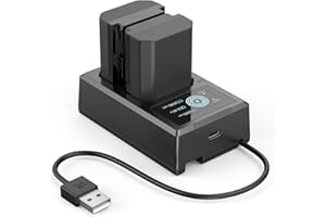 SMALLRIG Battery Ladegerät Ersatzbatterien für NP-FZ100 Kameras (2 Stück) 2040mAh Akku & LCD Display Ladegerät, Wiederaufladbarer Akku für Sony A7 IV A7III A7S III A7C A6700 A9 FX3 A7C II ZV-E1 3824B