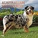 Australian Shepherds - Australische Schäferhunde 2019 - 18-Monatskalender mit freier DogDays-App (Wall-Kalender) by 