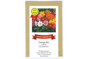 EXOTIC-SAMEN Dahlia - Dahlien - Niedlicher Zwergen-Mix - 50 Samen