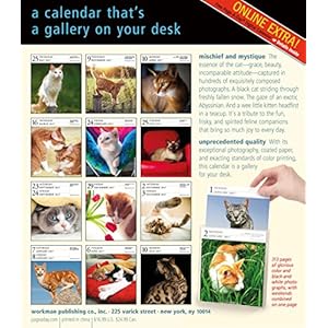Cat Gallery 2017 Calendar