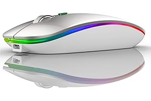 Uiosmuph G12 Mouse Wireless, 2,4 GHz con Ricevitore USB Mouse Senza Fili, DPI Regolabile LED Mouse Wireless Ergonomico for Mac/PC/Laptop/iPad - Argento