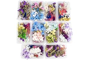 Uoeo 3 Boxes Dried Flowers 3D Real Nail Dried Flowers Mixed Natural Dried Flowers DIY Art Floral Real Dried Flowers for Candle Nail Epoxy Resin Pendant Jewelry Making, Random Color