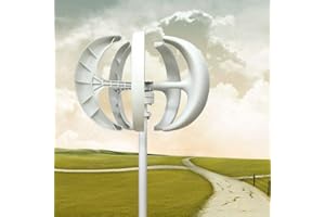 MINUS ONE Windkraftanlage 600W Windturbine Generator Weiß Laterne Vertikale Windgenerator 5 Blätter Windkraftanlage Kit mit Controller 12V/24V (Weiß, 24V)