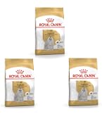 Royal Canin Maltese Adult Trockenfutter fr ausgewachsene Malteser