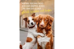 Gutsch Verlag Freundschafts-Postkarte mit Hunden: Umarmung & Zuneigung, Trost-Spruch für Liebe und Geborgenheit, Kuschelnde Fellnasen - Tierische Aufmunterung