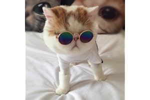 Hemore Lunettes de soleil universelles pour petits animaux de compagnie pour chiens et chats