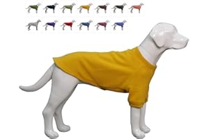 Lovelonglong Dog Sweatshirt - Cold Weather Dog Pullover for Autumn and Winter - Sizes: Small, Medium, Large - Ginger