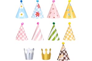 Ymapinc 11PCS Birthday Hat for Party Lovely Cake Cone Party Hats Set Includes 2 Paper Crowns Colorful Mini Birthday Hats and 9 Adorable Hat with Pompoms for Kids Adults Animals Pet