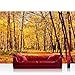 Produktbild Vlies Fototapete 200x140 cm PREMIUM PLUS Wand Foto Tapete Wand Bild Vliestapete - AUTUMN FOREST - Natur Herbstblätter Wald Bäume Baum Forest Herbst - no. 084