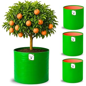 ORGANIC BAZAR 18x18 Big Size Grow Bags for Terrace Gardening, Premium HDPE Green-Orange Large Planters for Fruit Tree (Pack of 4)