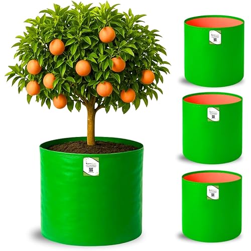 ORGANIC BAZAR 18x18 Big Size Grow Bags for Terrace Gardening, Premium HDPE Green-Orange Large Planters for Fruit Tree (Pack of 4)