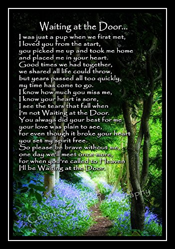 Pet-Dog-Bereavement-Memorial-Print-unframed-Waiting-at-the-Door