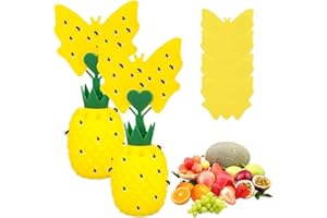 LUPATDY Lot de 2 Pièges à Mouches des Fruits pour Cuisine - Piège à Insectes Volants Intérieur avec Autocollants Jaunes et Appât - Attrape Mouches sans Produit Chimique - pour Cuisine, Salon, Salle à Manger