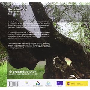 Olea europaea ‘Farga’: Territori Sénia