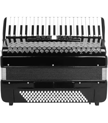 Fisarmonica Hohner Usato In Italia | Vedi Tutte I 79 Prezzi - Foto 5