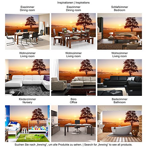 Vlies Fototapete 400×280 cm – Top ! PREMIUM PLUS Foto Tapete ! Wandbilder XXL Wandbild Bild Fototapeten Tapeten Wandtapete Wanddeko Wand Sonnenaufgang Baum Natur – no. 238 - 5
