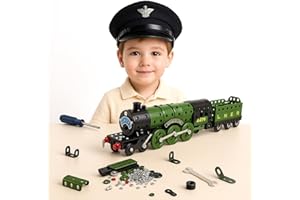 Toyana 340 PCs Train Model Building Kit, DIY Build Your Own Metal Train, Educational STEM Railway Engineering Toy, Creative Construction Indoor Activity Playset Gift for Children 6+ Years