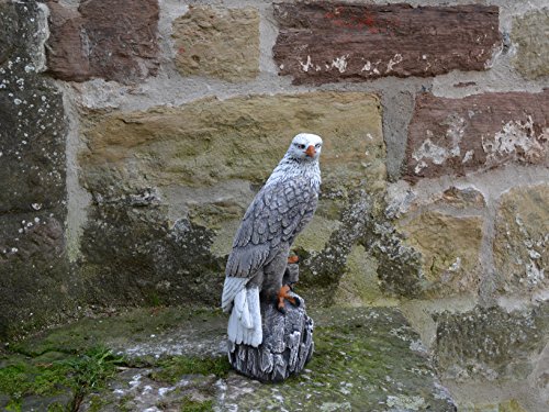 Wunderschöner Adler Farbe antik aus Steinguss, frostfest - 4