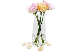 CICIING Florero de Cristal, Ins Moderno Jarrón de Transparente, 22 CM Alto Jarrón de Cristal para Decoración de Mesa, Jarrones Decorativos para Hierba de Pampa, Tulipanes, Orquídeas (Transparente)