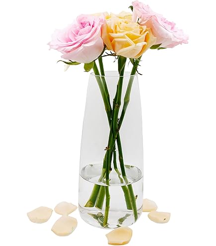 Vaso di Vetro, da Fiori Solifleur H.30cm D.6cm Rotondo Trasparente