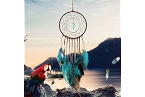 Dremisland Forest Turquoise Dream Catchers - Handmade Exquisite Feather Beaded Dreamcatcher for Kids/Cars/Bedroom - Indians Traditional Art Wall Hanging Home Decoration