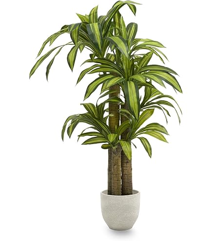 Künstlicher Gummibaum (Ficus Elastica) Groß – Kunstpflanze In Korb, Täuschend Echt, Pflegeleicht, Für Wohnzimmer & Büro