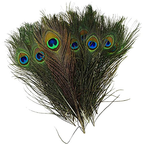 Unicoco 30 Piezas de Plumas de Pavo Real Naturales Tamaño 25-30 cm Muy Chulo para Carnaval Decoración
