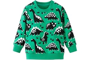 Pull à manches longues Dhasiue en coton décontracté pour enfants et garçons 1 à 7 ans