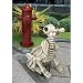 Produktbild Design Toscano Halloween Statue Fetch das Skelett Hund