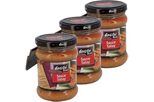 EXOTIC FOOD Lot 3x Sauce satay - Pot 200g