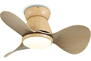 YCWDCZ Lámpara Ventilador Techo Pequeña Silencioso DC Ventilador de Techo con Luz y Mando a Distancia Reversible 3 Aspas 3 CCT, Mini Led Plafon Ventilador Techo para Dormitorio Habitación Infantil