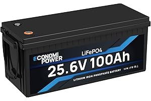 EconomiPower LiFePO4 100Ah 24V Batterie, 2560Wh Lithiumbatterie mit 100A BMS, Max 15000 Tiefenladezyklen, Perfekt für Wohnmobile, Vans, Trolling Motor, Boote und Solare Heimanlagen