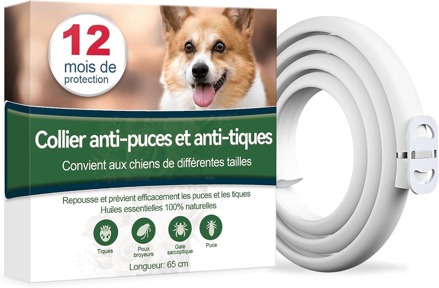 Vue 8