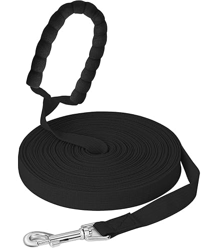 50 M Lange Hundetrainingsleine – 2 Cm Breit, Aus Strapazierfähigem Nylon – Für Gehorsamstraining Und Freilauf
