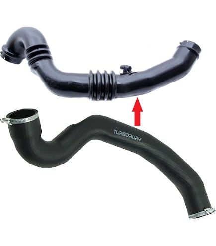 Flessibile aria alimentazione FEBI BILSTEIN 175706 Sx, con supporto