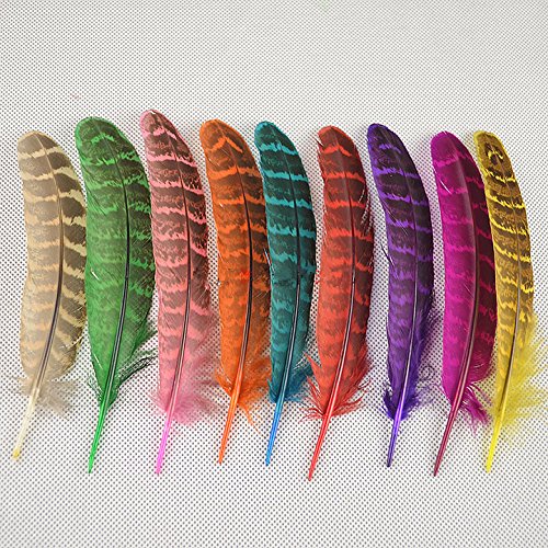 ERGEOB® Natur Dekoration Hahnfeder fasan Feder 50 stück, 10-15cm läng, Ideal für Kostüme, Hüte, basteln, Zuhause Dekor, DIY usw. - 7