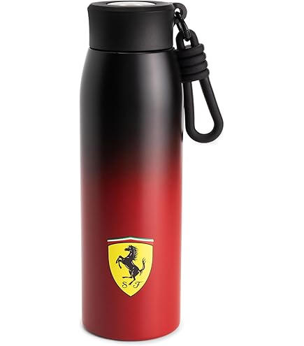 Aston Martin Team Logo Water Bottle, 2024 Design, Featuring Team And Sponsor Logos On A Steel Bottle In Team Colours 500 Ml Capacity With A Loop Strap For Carrying Official Merchandise - View #2