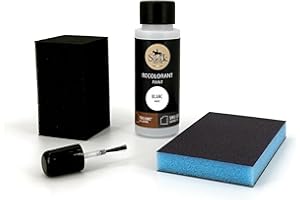 SOFOLK DEPUIS 1989 Sofolk - Kit Retouche Peinture Cuir/Similicuir - Teinture pour Volant de Voiture, Siège Auto, Canapé, Chaussure et Vêtements - Cuir Abimé, Rayé, Griffré, Décoloré (60ml - BLANC)