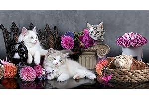 PELLECCHIA 1969 |Tappeto Cucina Antiscivolo Lavabile in Vinile | Passatoia Antimacchia in PVC Interni ed Esterni Stampa Digitale |Retro in gomma |100% Poliestere (52 X100, GATTI IN 3D)