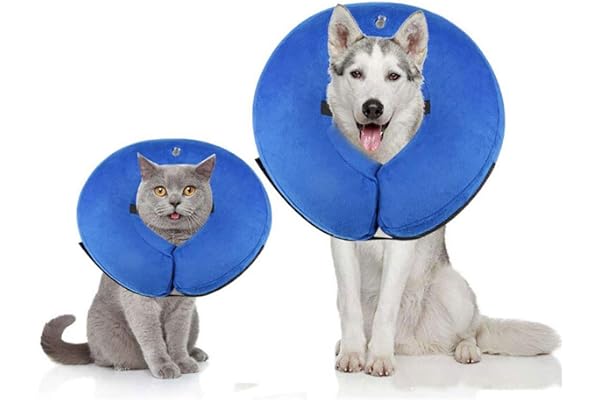 Collier Gonflable de Récupération Collerette de Protection Ajustable Cône de Cicatrisation Confortable pour Chien (S, Cou :18-30 cm)