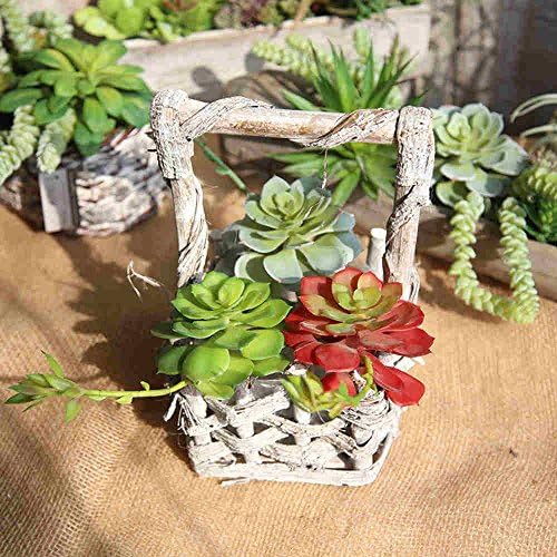 3Pcs Fake Succulent Real Looking 11.02" Faux Succulent Lotus with Extended Branch Plants Gifts Garden Home Decor