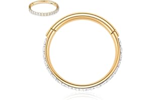 AROWRO 316L chirurgischer Stahl mit Zirkonia für Ohr und Nase, 20 g, 18 g, 16 g, 14 Gauge